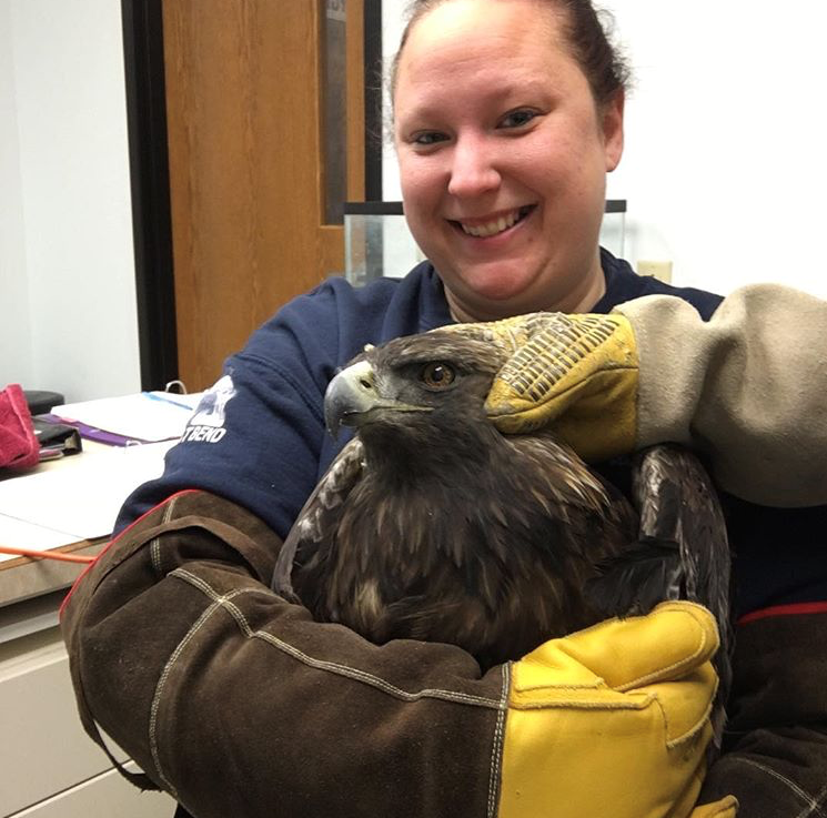Ashley with Golden Eagle
